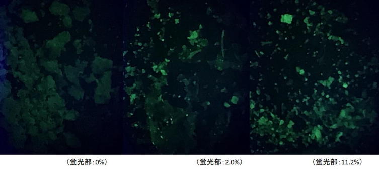 茶園における土壌中の菌根菌