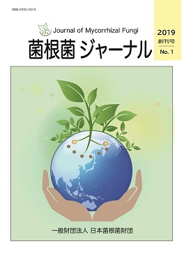 2019年12月 創刊号